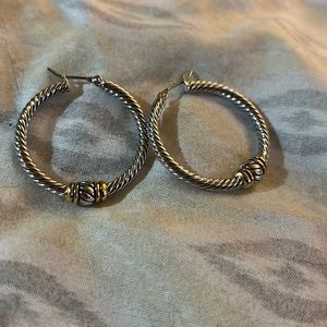 Hooped earrings silver and gold